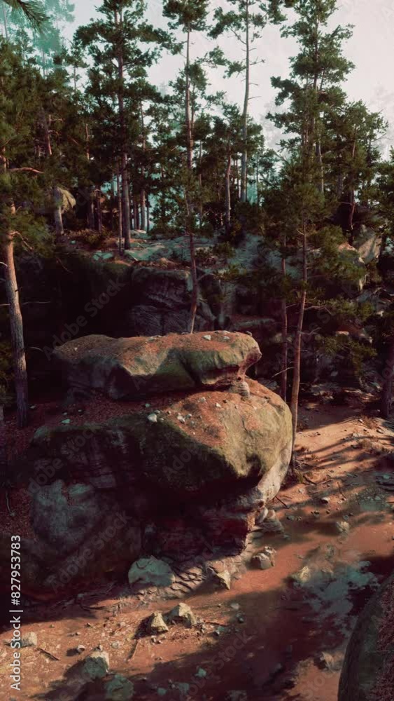 Several large rocks are perched on the forest floor, creating a striking contrast against the lush green trees. Several large rocks are perched on the forest floor, creating a striking contrast against the lush green trees.