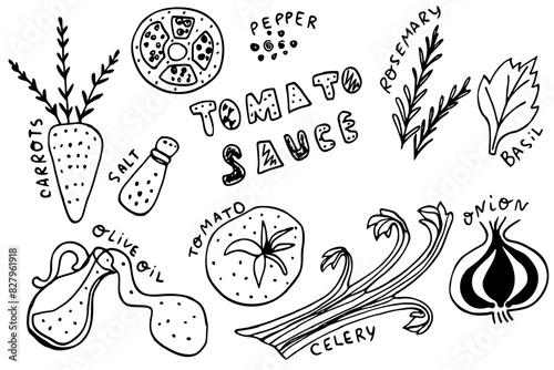 Tomato Sauce ingredients set. Carrots, salt, pepper, olive oil, celery, rosemary, onion, Basil. Hand drawn Doodle vector illustration  photo