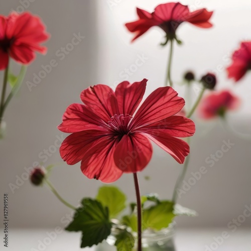 bouquet of flowers