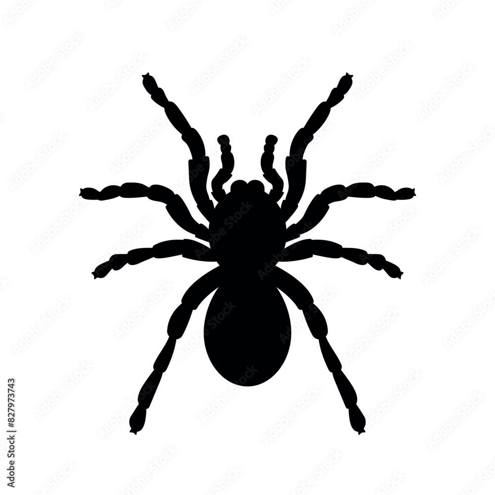 Obraz premium tarantula silhouette, spider Halloween decorative element, vector black icon