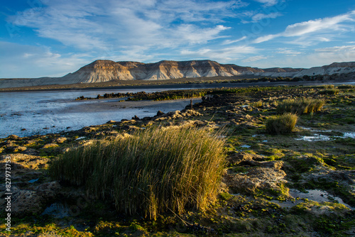 Cerro Avanzado protected area, , World Heritage Site, Chubut Province, Patagonia, Argentina. photo