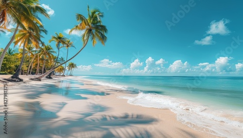 Panorama beach with palm trees and clouds in the sky
