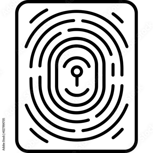 Icon Name identity- An image depicting biometric security, which can be inferred from the extracted path strings.