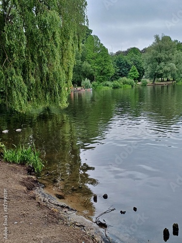 Ufer am Hamburger Stadtparksee photo