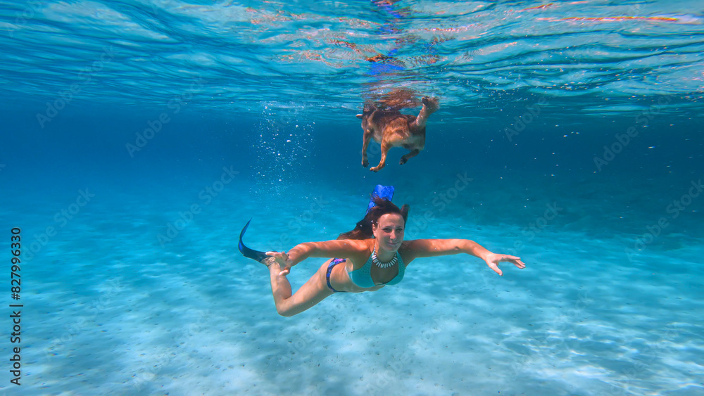 UNDERWATER: Smiling young lady in a bikini dives and swims beneath her doggo that floats on the surface. Joyful moment of a woman and her dog swimming together in crystal clear blue Adriatic Sea.