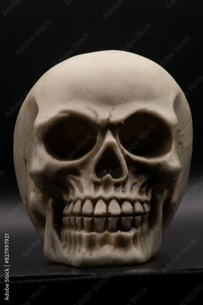 Skull front Skull front