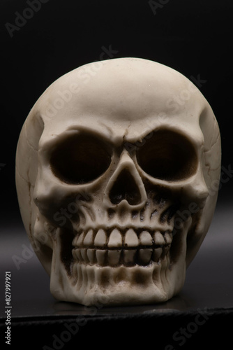 Skull front