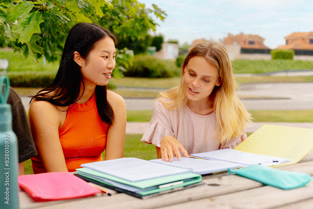 Obraz premium Two girls, one Asian and one white, studying together with class notes sitting on a bench outside the university campus. Students preparing for an exam together.