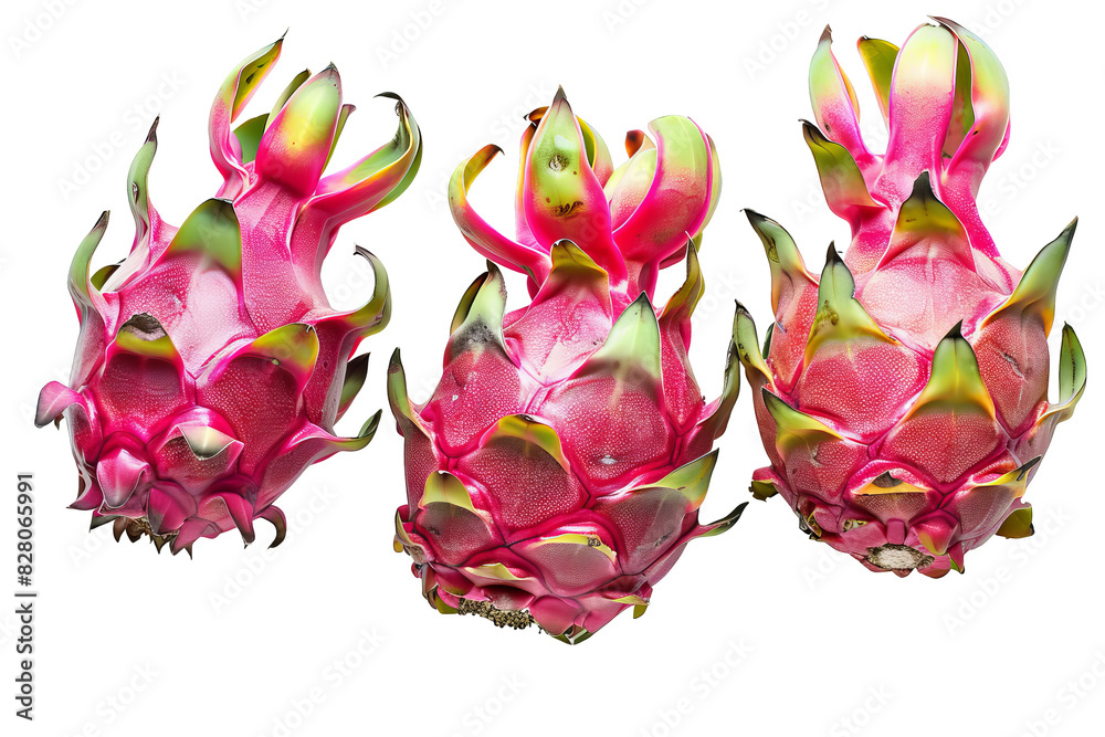 isolated white background of dragon fruit isolated white background of dragon fruit