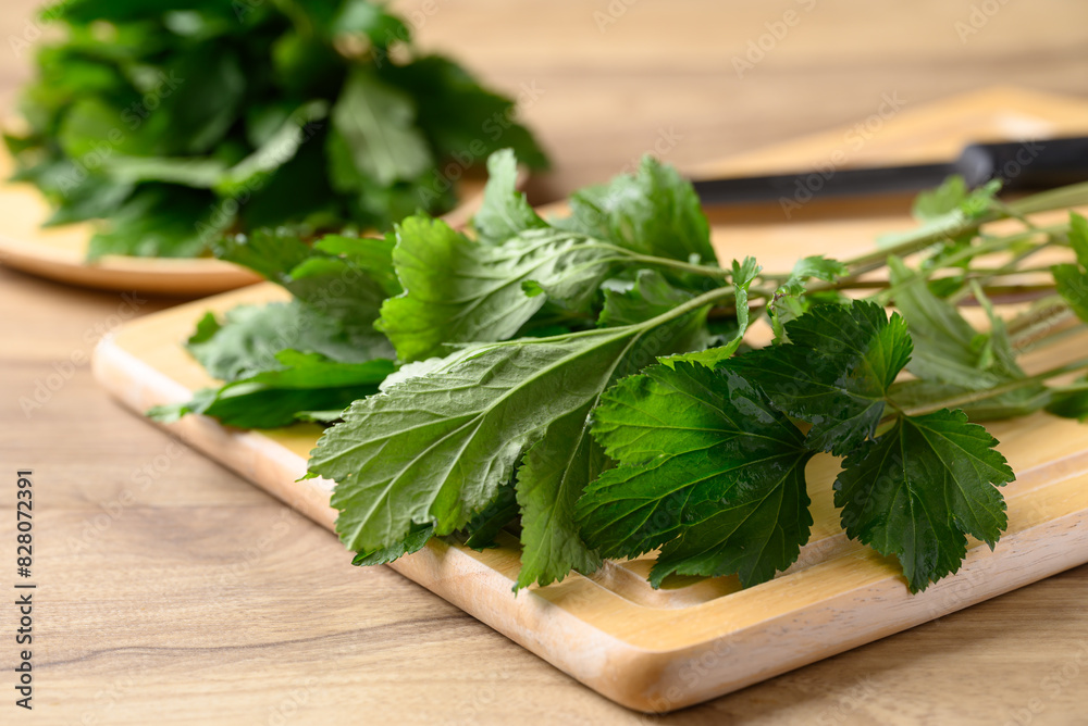 White mugwort on wooden board, Organic Asian vegetables and herbal medicine White mugwort on wooden board, Organic Asian vegetables and herbal medicine