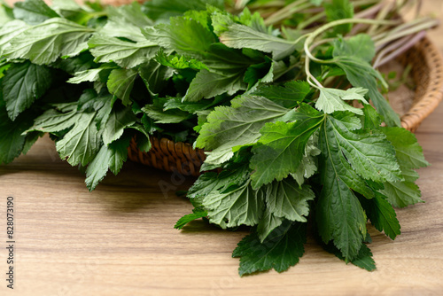 White mugwort in basket on wooden background, Organic Asian vegetables and herbal medicine photo