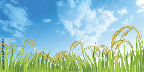 稲　秋　田舎　風景　背景