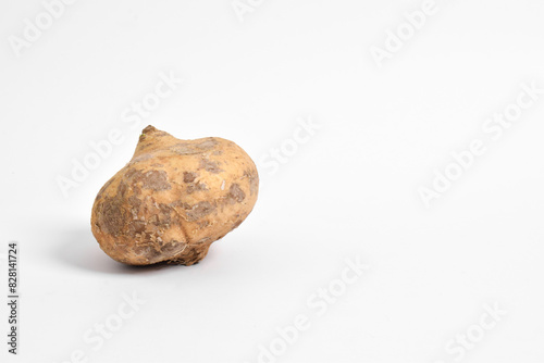 Fresh raw Jicama or bengkuang (pachyrhizus erosus) fruits vegetable foods organic agriculture healthy. Isolated on white background photo