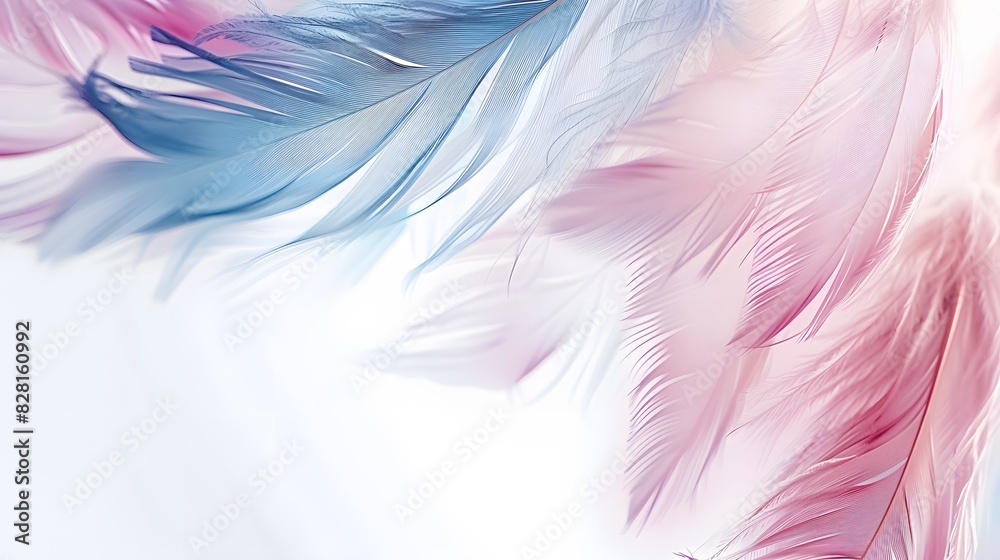 Fototapeta premium pastel feather abstract background texture