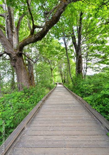 Fotografie Boardwalk at the Billy Frank Jr Nisqually Wildlife Refuge in Lacey, Washington