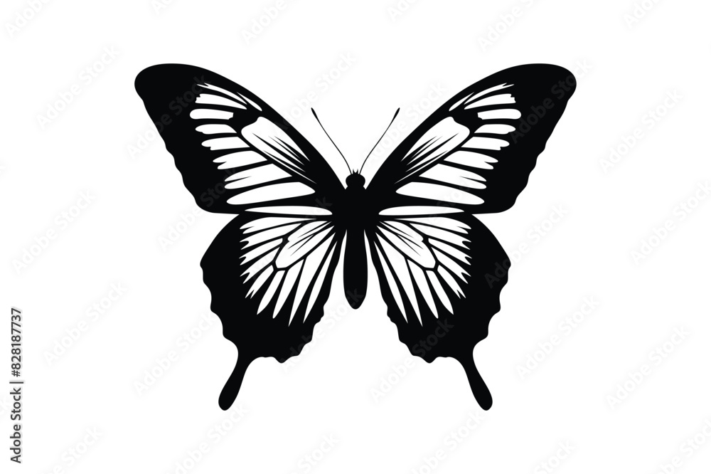 Black monochrome Butterfly Silhouettes Vector art Black monochrome Butterfly Silhouettes Vector art