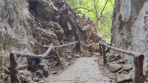 Jungle Stairway with Wooden Railing in Hup Pa Tat National Park, Thailand photo