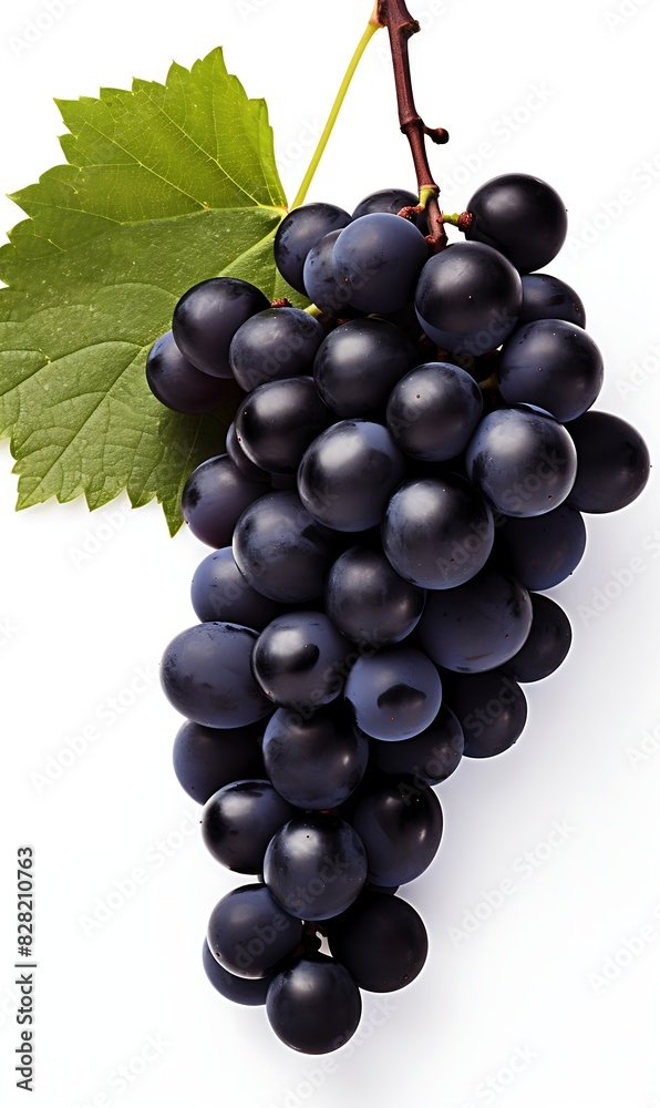Fototapeta premium Black grapes with leaf isolated on white background