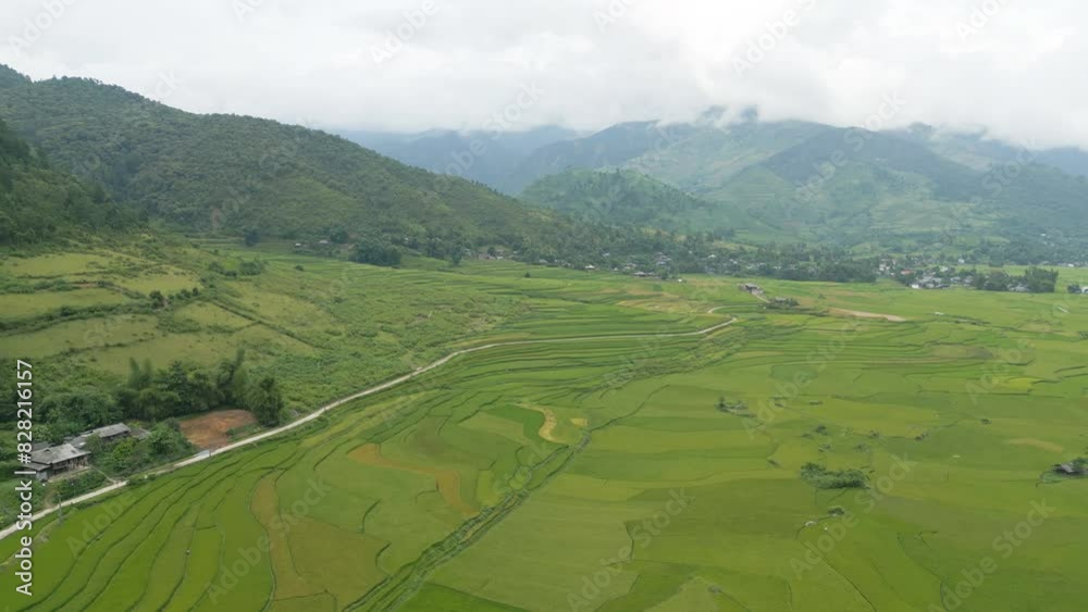 Aerial top view of fresh paddy rice terraces, green agricultural fields in countryside or rural area of Mu Cang Chai, mountain hills valley in Asia, Vietnam. Nature landscape background. Aerial top view of fresh paddy rice terraces, green agricultural fields in countryside or rural area of Mu Cang Chai, mountain hills valley in Asia, Vietnam. Nature landscape background.