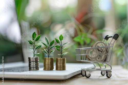 A recurring revenue model combined with a premium product offering can create a sustainable business with predictable income and high customer satisfaction