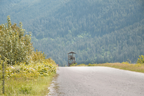 Grant Narrows Regional Park during a spring season in Pitt Meadows, British Columbia, Canada