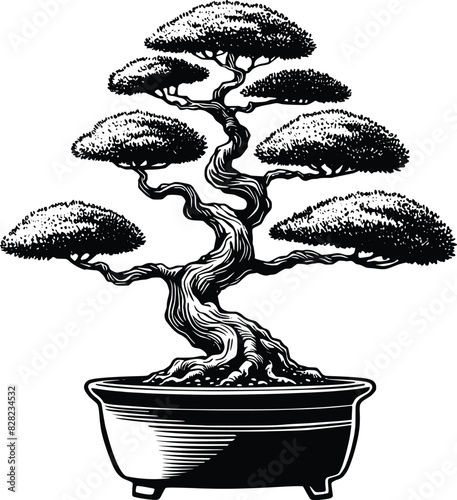 Bonsai tree illustration. Bonsai tree silhouette. Vintage sketch of bonsai tree.