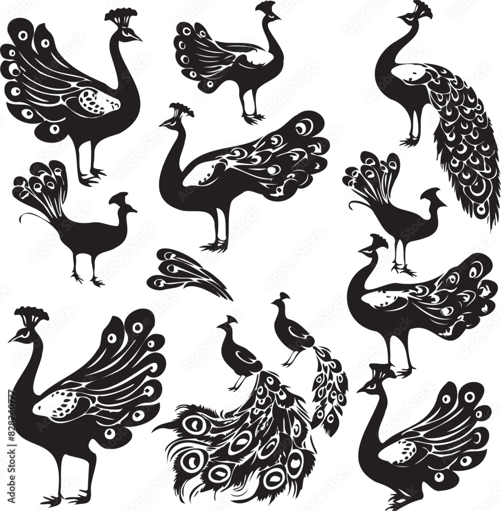 Naklejka premium Set of Peacock black silhouette