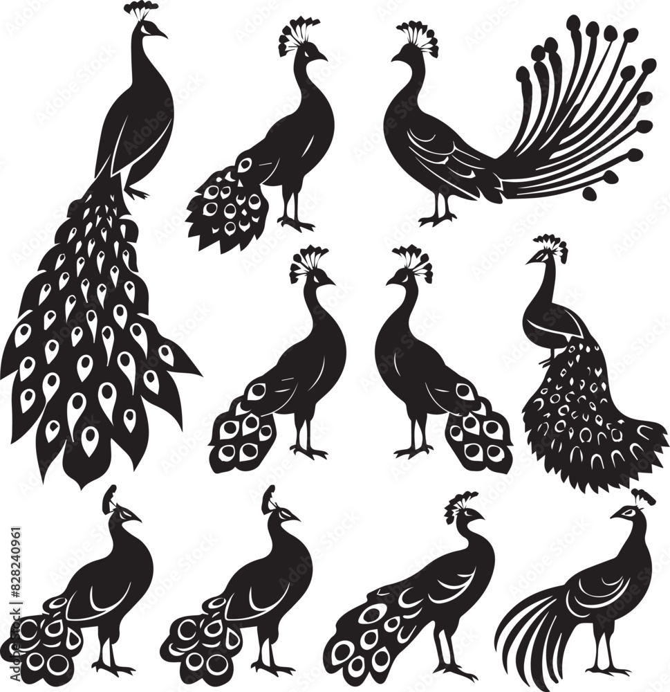 Naklejka premium Set of Peacock black silhouette