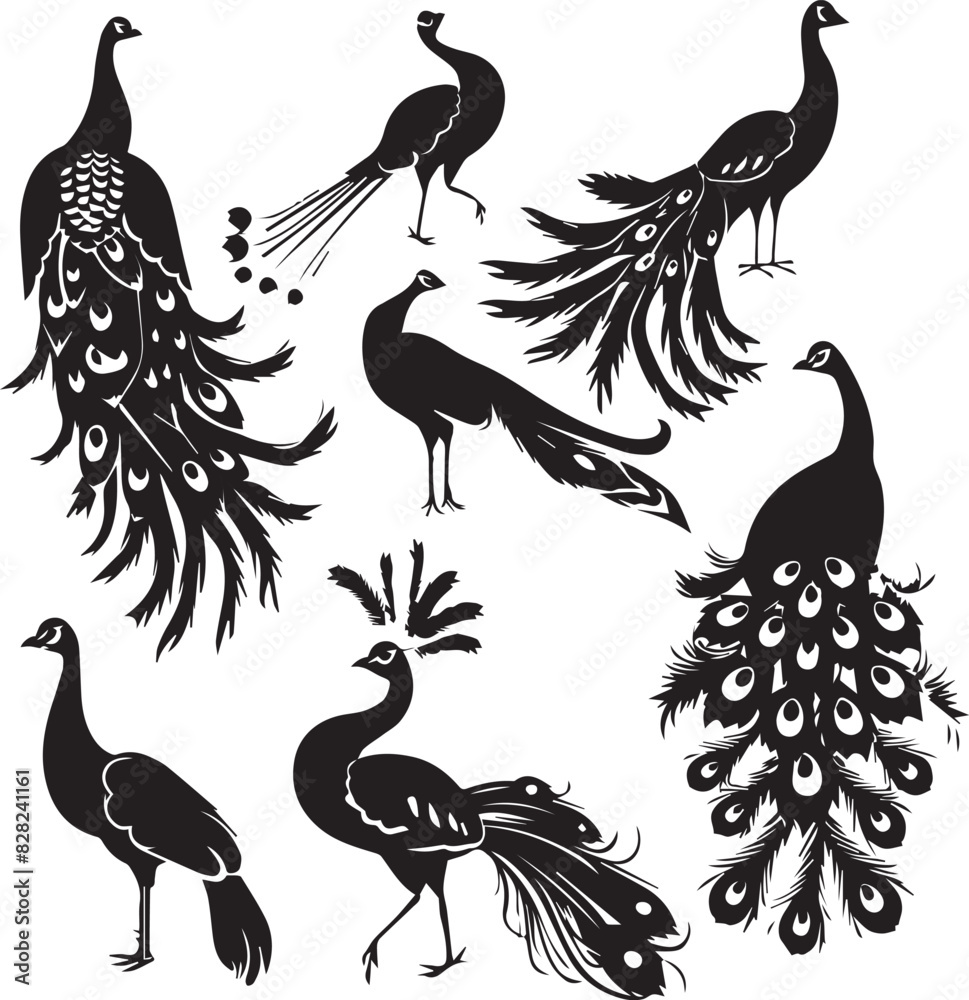 Naklejka premium Set of Peacock black silhouette