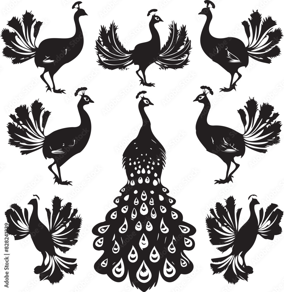 Fototapeta premium Set of Peacock black silhouette