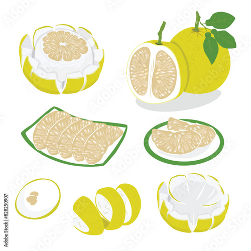 Pomelo vector. Grapefruit. Shaddock fruit with yellow rind. Flat vector in cartoon style isolated on white background.