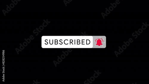  Subscribe Button Animation 4K On Alpha