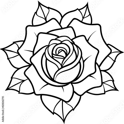 Set of hand drawn rose vector.