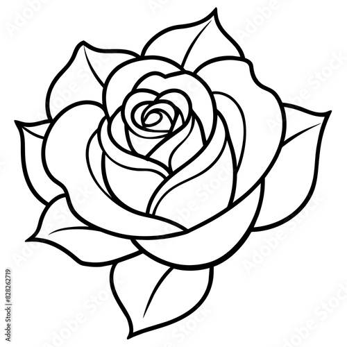 Set of hand drawn rose vector.