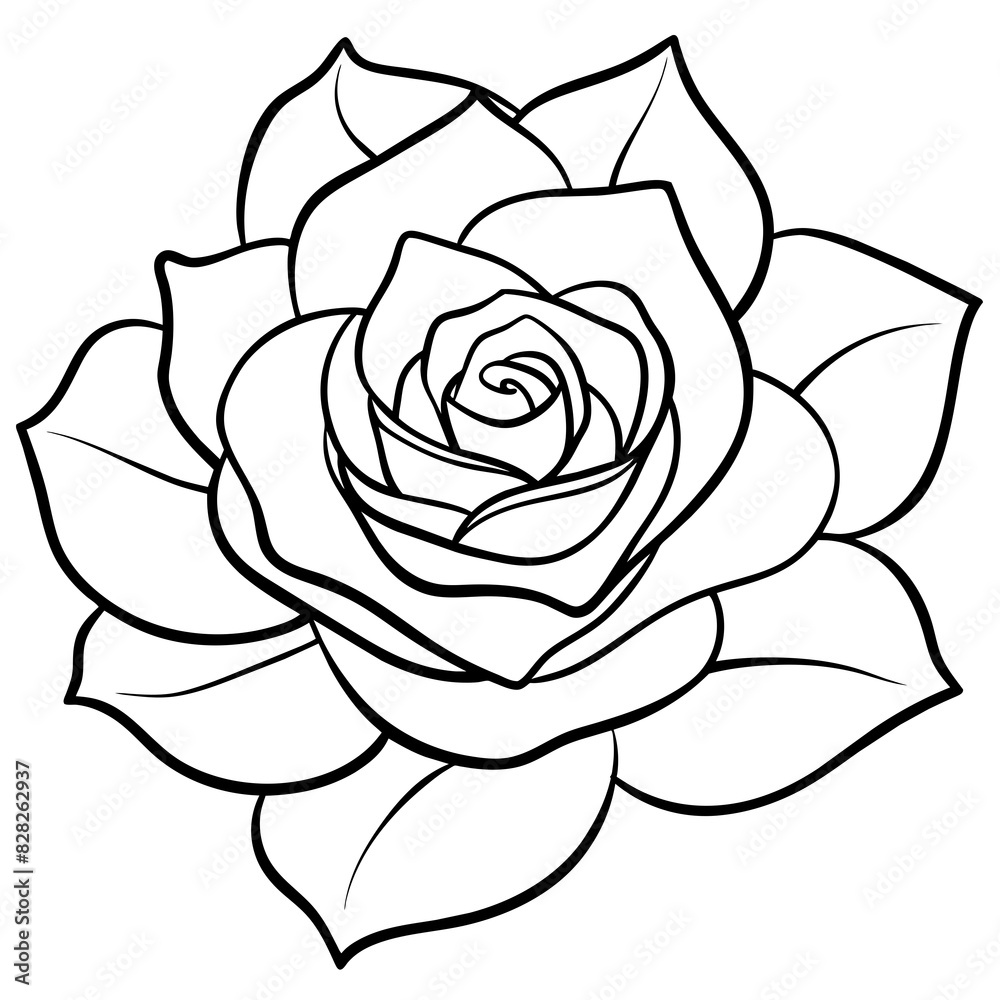 Set of hand drawn rose vector. Set of hand drawn rose vector.