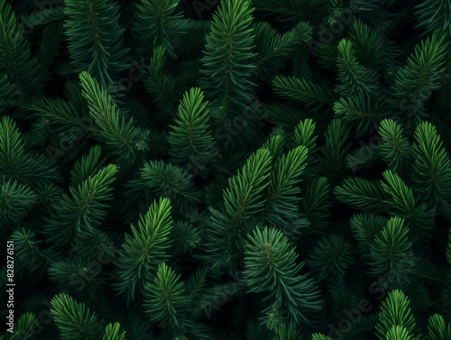 a close up of a pine tree with green needles
