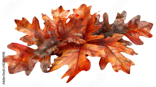 Close-up of vibrant autumn oak leaves in shades of red and orange, symbolizing seasonal beauty and nature's rich colors. photo