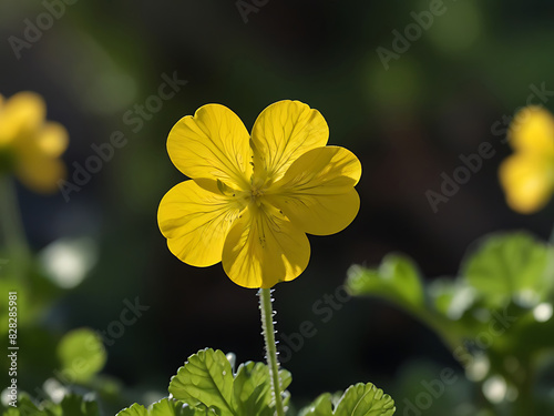 Imagine a yellow geranium, its petals like rays of sunshine, with two buds on the branch waiting to bloom. Generative AI photo