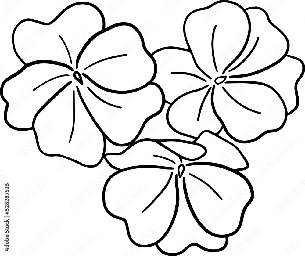 Hand drawn impatiens flower