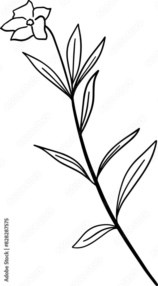 Naklejka premium Hand drawn mexican petunia flower