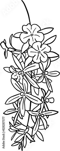 Hand drawn petrea volubilis flower photo