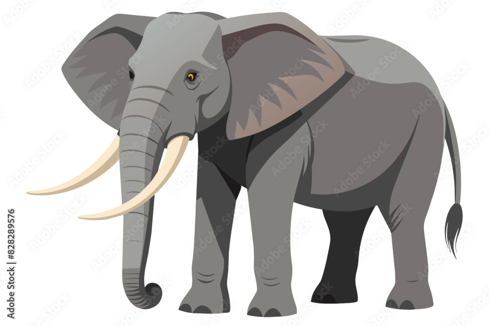 A large gray elephant isolated on a white background A large gray elephant isolated on a white background