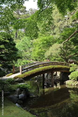 Japanese garden in Kyoto Imperial Palace  Japan