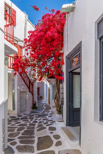 Traditional Cycladitic alley with a narrow street with a full blooming bougainvillea in Mykonos island, cyclades, Greece