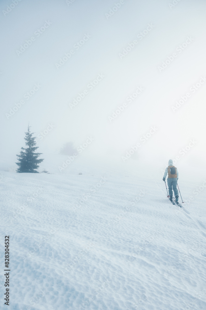 Mountaineer backcountry ski walking ski alpinist in the mountains. Ski touring in alpine landscape with snowy trees. Adventure winter sport. Low Tatras, slovakia