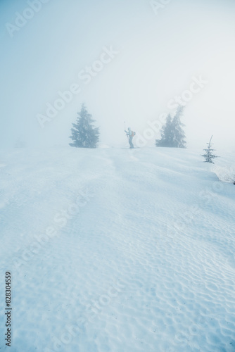 Wallpaper Mural Mountaineer backcountry ski walking ski alpinist in the mountains. Ski touring in alpine landscape with snowy trees. Adventure winter sport. Low Tatras, slovakia Torontodigital.ca