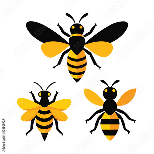 Set of Beewolf wasp vector on white background