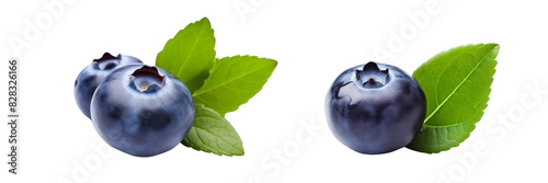 Collection of branch of delicious ripe blueberries isolated on white background