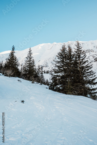 Alpine mountains landscape with white snow and blue sky. Frosty trees under warm sunlight. Wonderful wintry landscape High Tatras, slovakia © alexanderuhrin