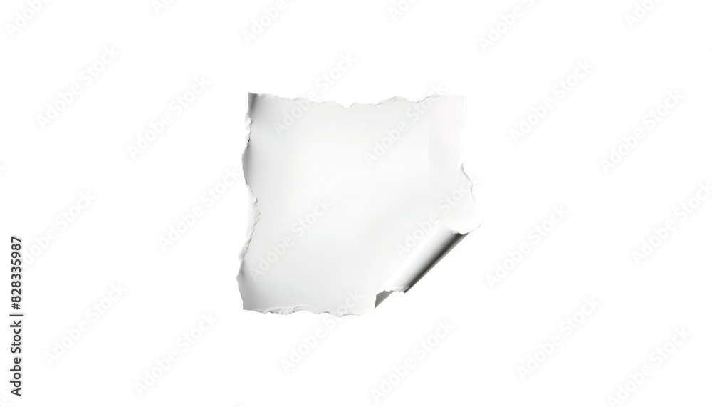 Torn piece of white paper , isolated on transparent background , PNG file.
